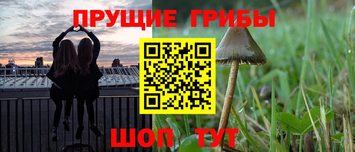 Галлюциногенные грибы MAGIC MUSHROOMS Похвистнево
