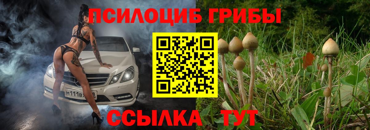 Псилоцибиновые грибы Psilocybe  Вход с VPN  Похвистнево 